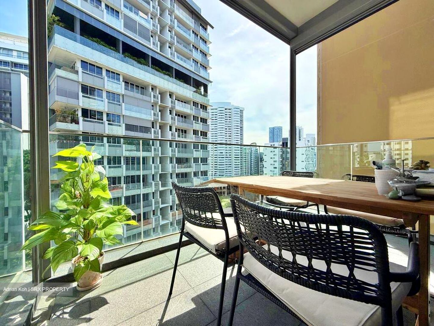 Cairnhill 16 (D9), Apartment #511137261